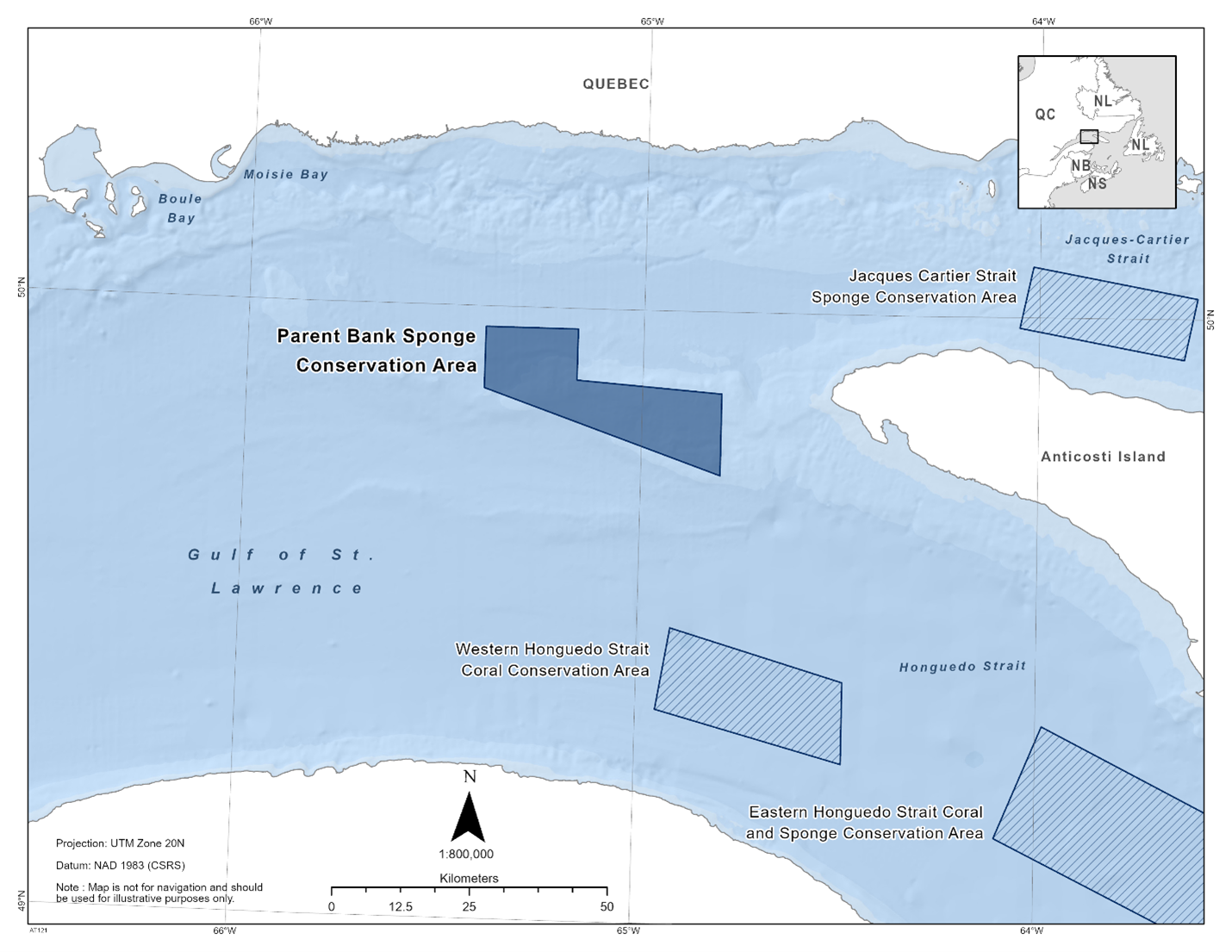 Map of the Parent Bank Sponge Conservation Area depicted in dark blue. The map also features the marine refuges nearby with dark blue diagonal lines (Western Honguedo Strait Coral Conservation Area, Eastern Honguedo Strait Coral and Sponge Conservation Area, Jacques Cartier Strait Sponge Conservation Area).