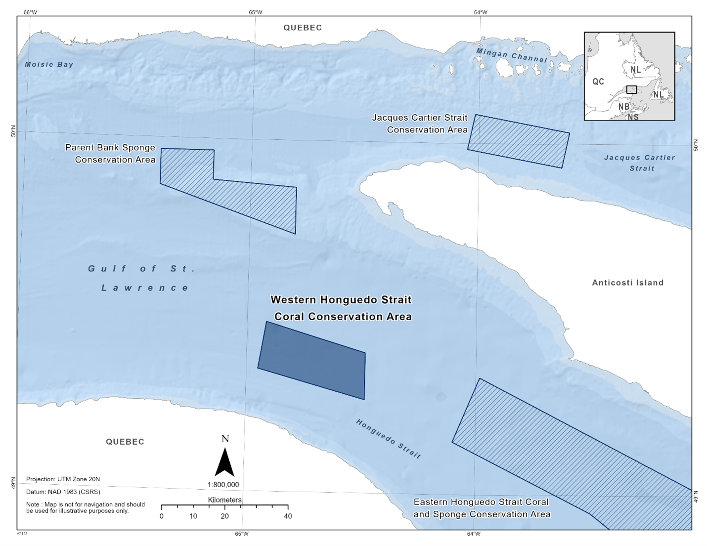 Map of the Western Honguedo Strait Coral Conservation Area in dark blue. The map also features other marine refuges nearby with dark blue diagonal lines (Jacques Cartier Strait Conservation Area, Parent Bank Sponge Conservation Area, Eastern Honguedo Strait Coral and Sponge Conservation Area). 